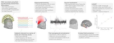 Electroconvulsive therapy modulates loudness dependence of auditory evoked potentials: a pilot MEG study